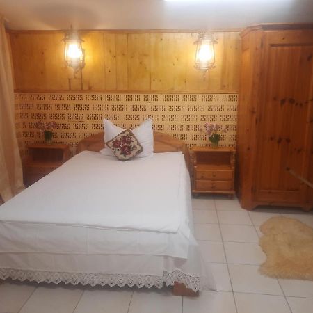 Apartament Pe Malul Raului Bega Timișoara Zewnętrze zdjęcie