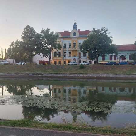Apartament Pe Malul Raului Bega Timișoara Zewnętrze zdjęcie