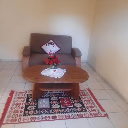Apartament Pe Malul Raului Bega Timișoara Zewnętrze zdjęcie