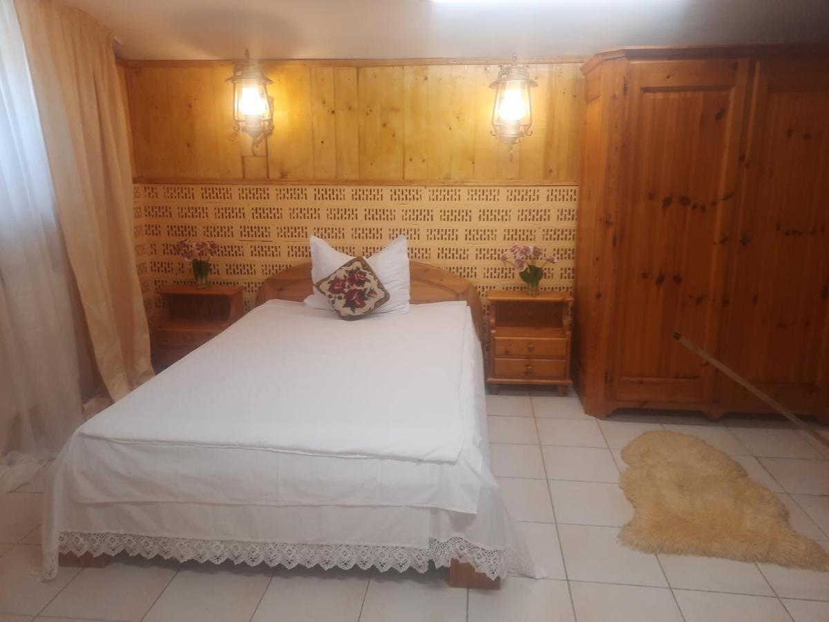 Apartament Pe Malul Raului Bega Timișoara Zewnętrze zdjęcie
