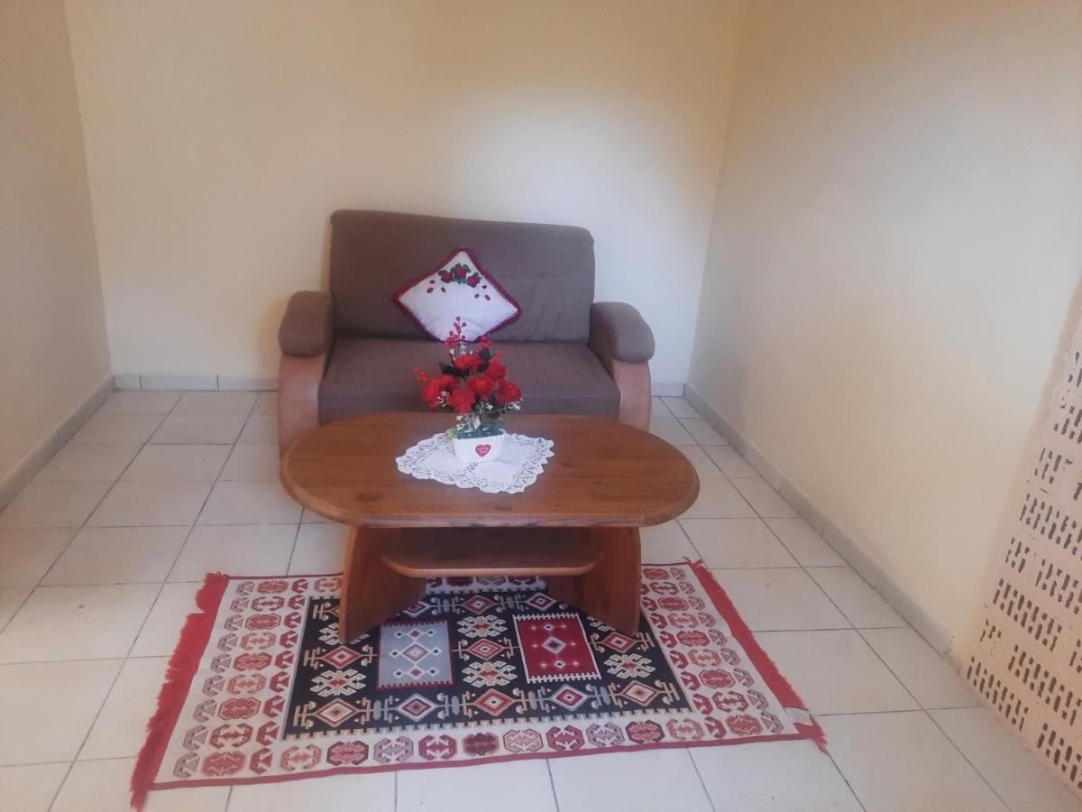 Apartament Pe Malul Raului Bega Timișoara Zewnętrze zdjęcie