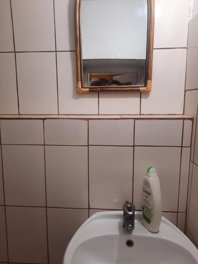 Apartament Pe Malul Raului Bega Timișoara Zewnętrze zdjęcie